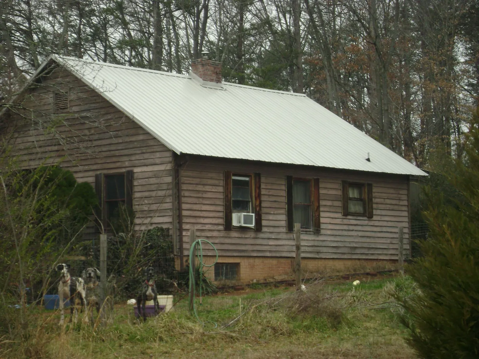 White metal roof on an old wood sided farmhouse, from a Asphalt Shingle Roof Repair job in Suches